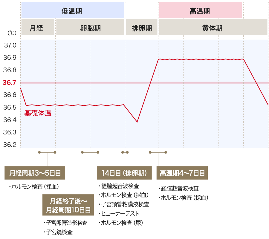 検査スケジュール