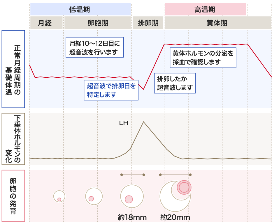 タイミング法