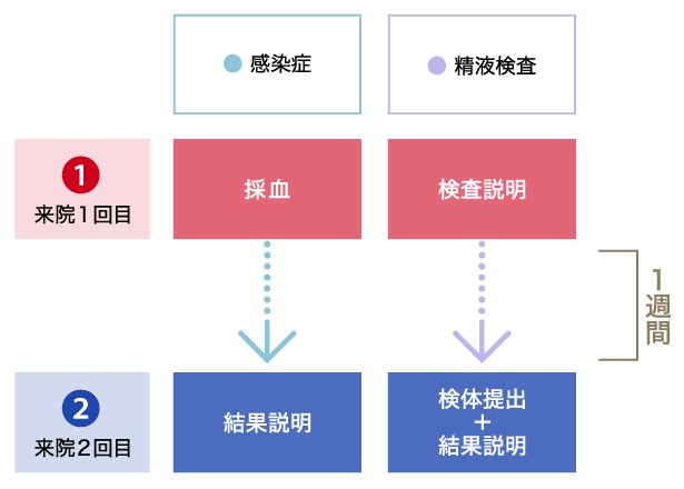 検査から結果の診察までの来院回数・期間の目安